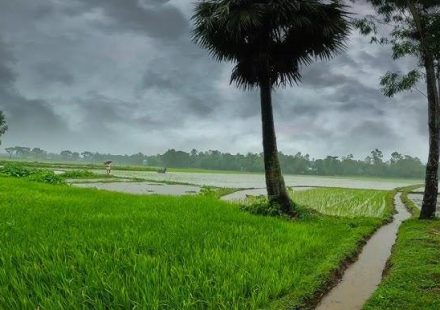 বাংলাদেশের জলবায়ুর বৈশিষ্ট্য ও বর্ষাকালের প্রাকৃতিক দৃশ্য