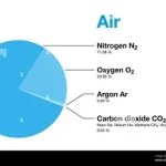 Clean air surrounding trees and the natural environment