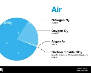 Clean air surrounding trees and the natural environment