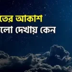 রাতের কালো আকাশে চাঁদ ও অসংখ্য তারা