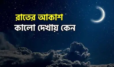 রাতের কালো আকাশে চাঁদ ও অসংখ্য তারা