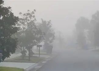Fog covering a landscape during an early morning