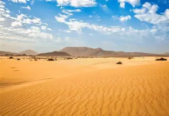 Desert landscape with sand dunes under a clear sky