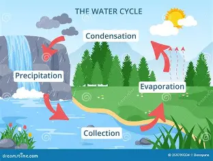 Precipitation as part of the water cycle