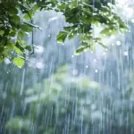 বৃষ্টি কীভাবে হয় এবং জলচক্রের প্রক্রিয়া
