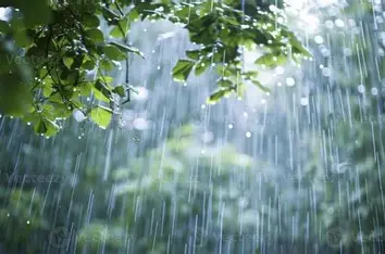 বৃষ্টি কীভাবে হয় এবং জলচক্রের প্রক্রিয়া