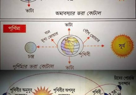 জোয়ার-ভাটা কীভাবে হয় এবং সূর্য ও চাঁদের প্রভাব