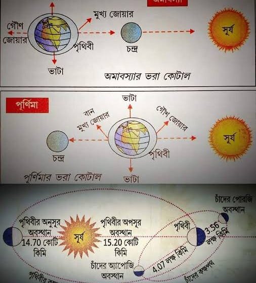জোয়ার-ভাটা কীভাবে সংঘটিত হয়? সূর্যের প্রভাব ও কারণ জোয়ার-ভাটা কীভাবে হয় এবং সূর্য ও চাঁদের প্রভাব