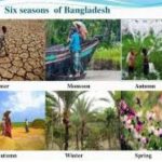বাংলাদেশের ছয় ঋতু ও জলবায়ু পরিবর্তন
