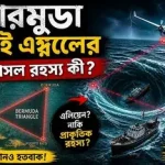 Bermuda Triangle এর রহস্যময় সমুদ্র অঞ্চল ও নিখোঁজ জাহাজ